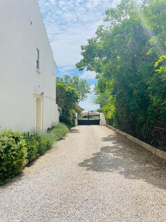 Les Ecuries - 3 Bedroom Gite With Plunge Pool Near Narbonne & The Canal Du Midi Saint-Nazaire-d'Aude ภายนอก รูปภาพ